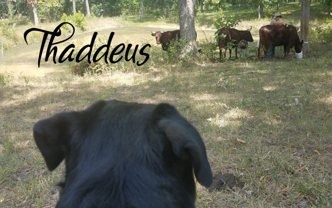 Ranch Supervisor – Thaddeus